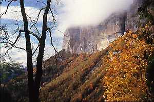 autom3sm.jpg (33433 octets)