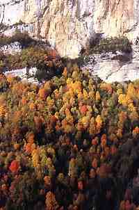 autom4sm.JPG (34533 octets)